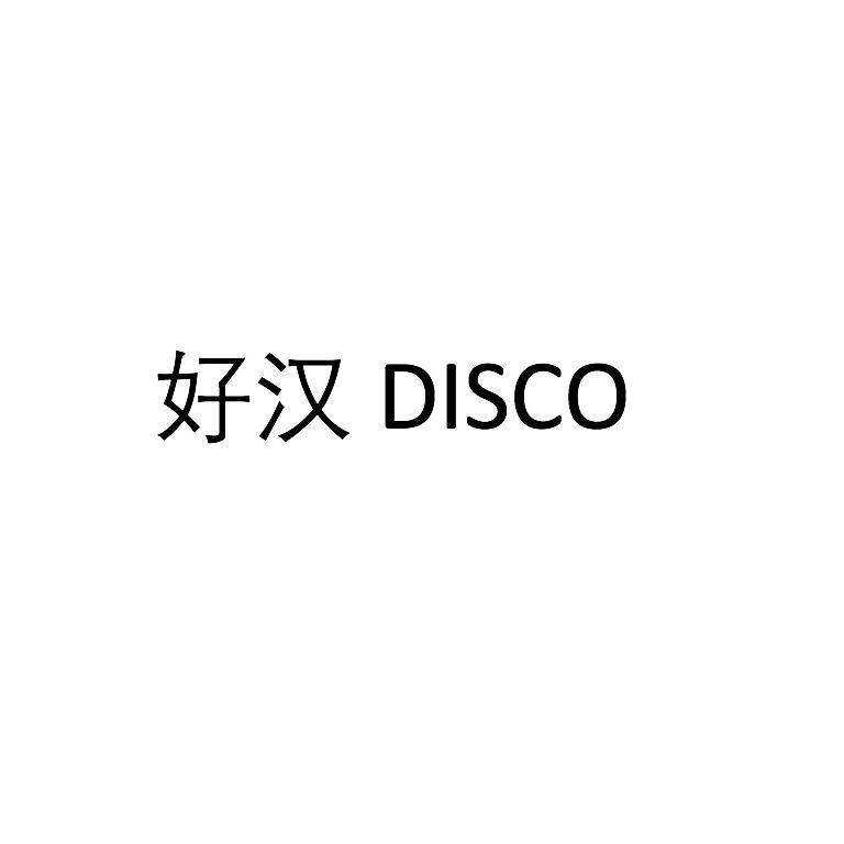 好汉DISCO