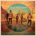 The Wild Feathers (Deluxe Version)专辑