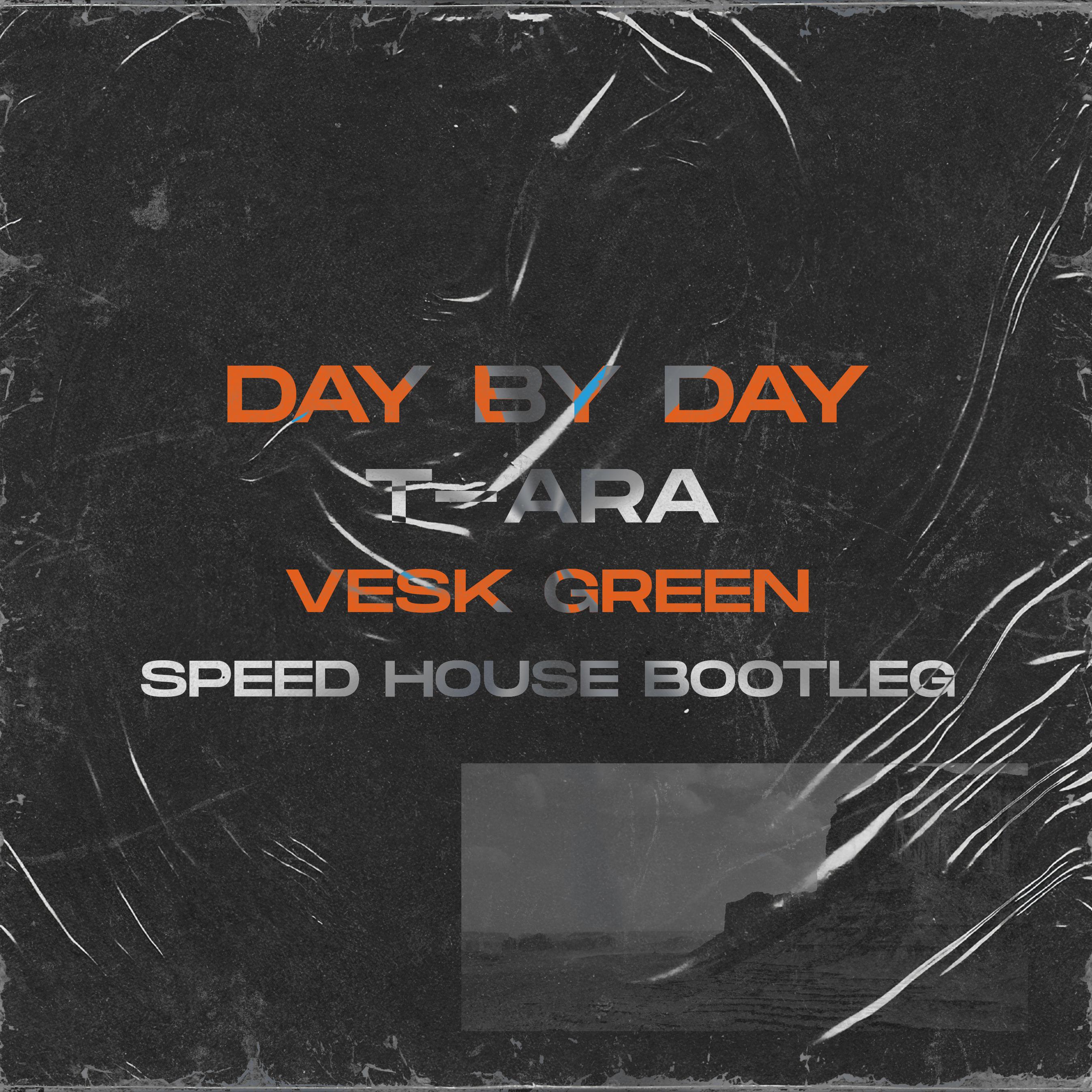 DAY BY DAY (VESK GREEN 青菜 Speed House Bootleg)