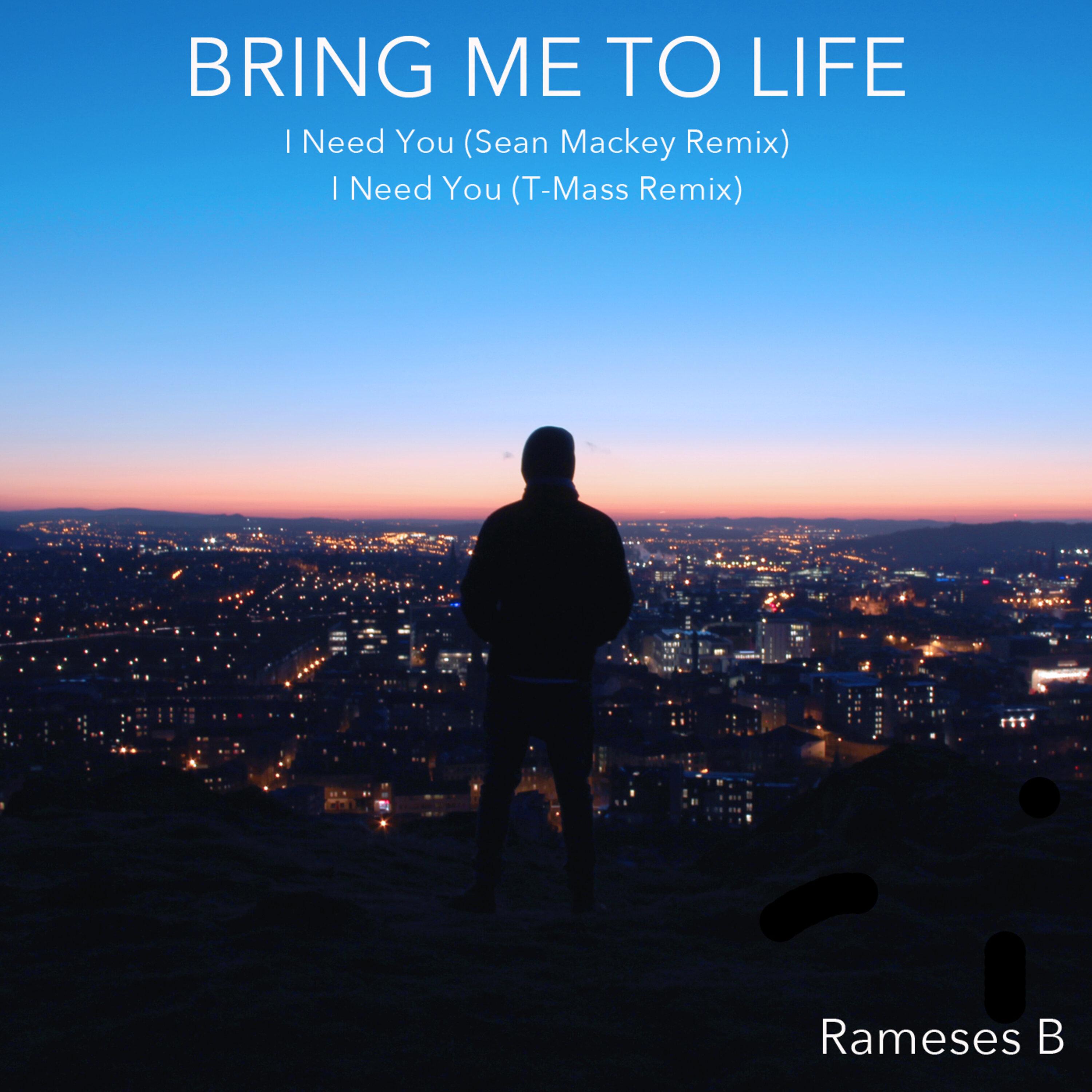 Bring Me To Life