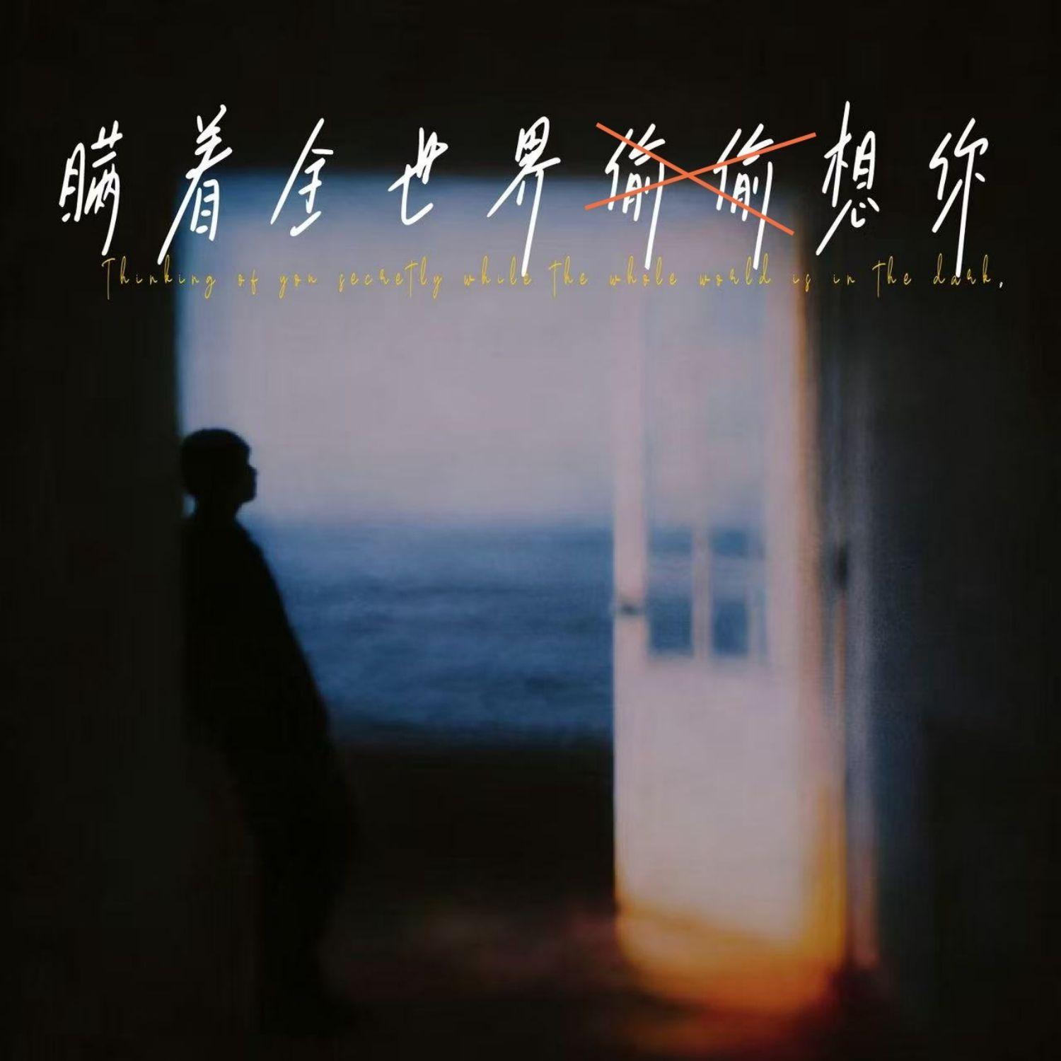 瞒着全世界想你