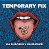 Rama Duke - Temporary Fix (Extended Mix)