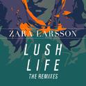 Lush Life (RAV3N remix)专辑