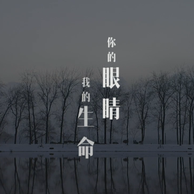 你的眼睛我的生命