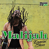 Malijah - Free Morning Bird