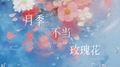 月季不比玫瑰花专辑
