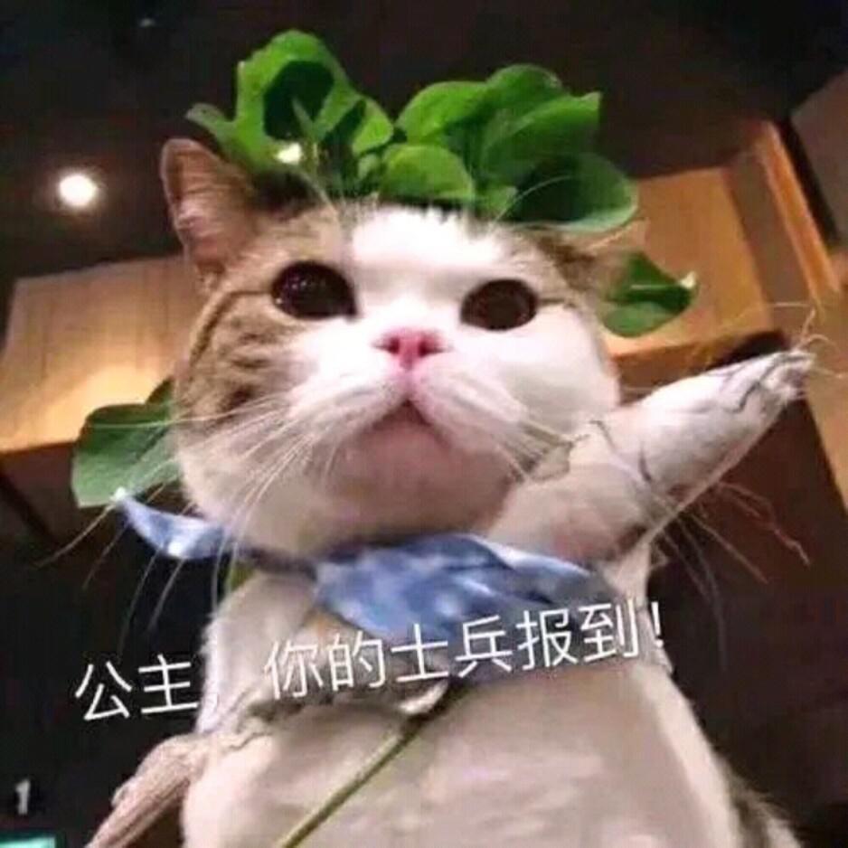 我想去造访一颗星