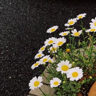 快手热荐轻音乐 | 安眠好选择