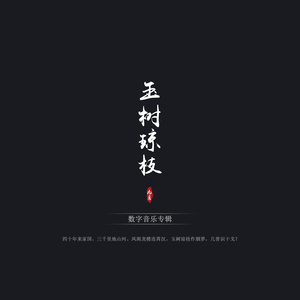 九鸢Music - 江山水意