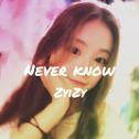 Never Know专辑