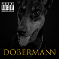 Dobermann