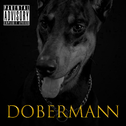 Dobermann专辑