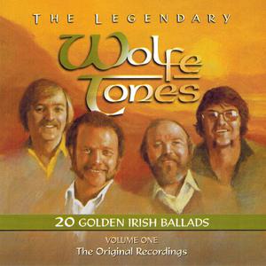 The Wolfe Tones - Joe McDonnell (Karaoke Version) 带和声伴奏 （降8半音）