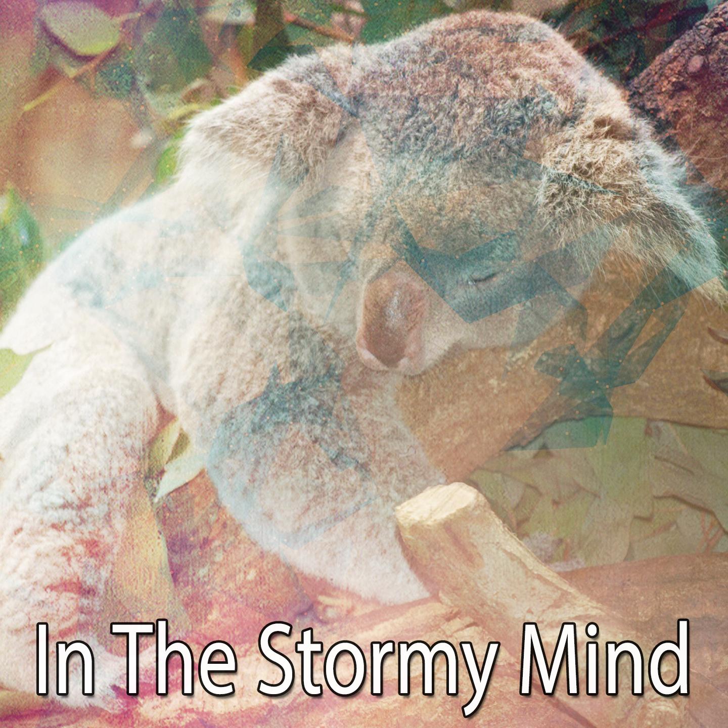 In The Stormy Mind专辑