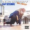 Sync Diversity - What's My Name (EDM Edit)