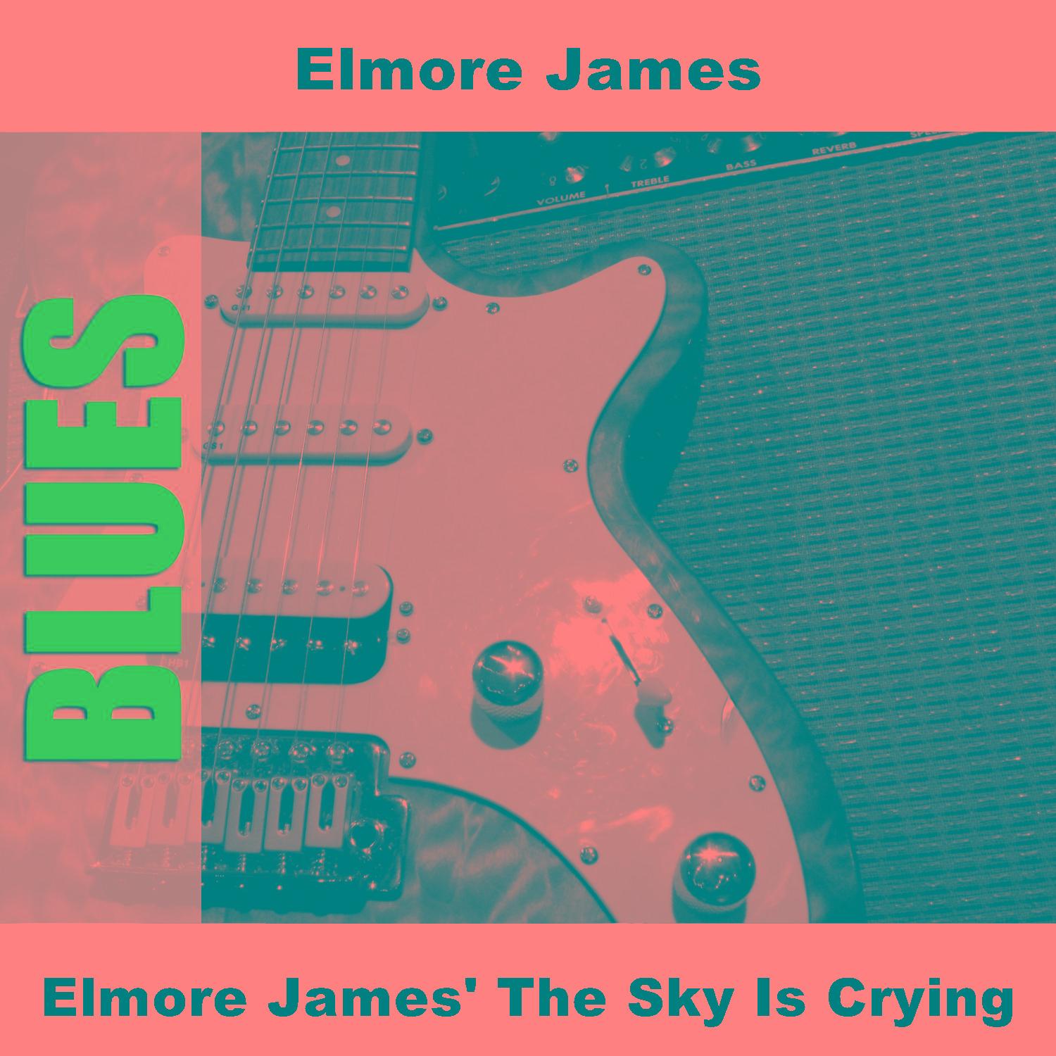 Elmore James' The Sky Is Crying