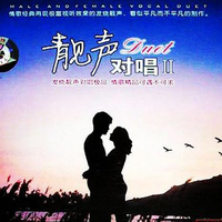 芙蓉小镇(王二哥男声伴唱)缺女声