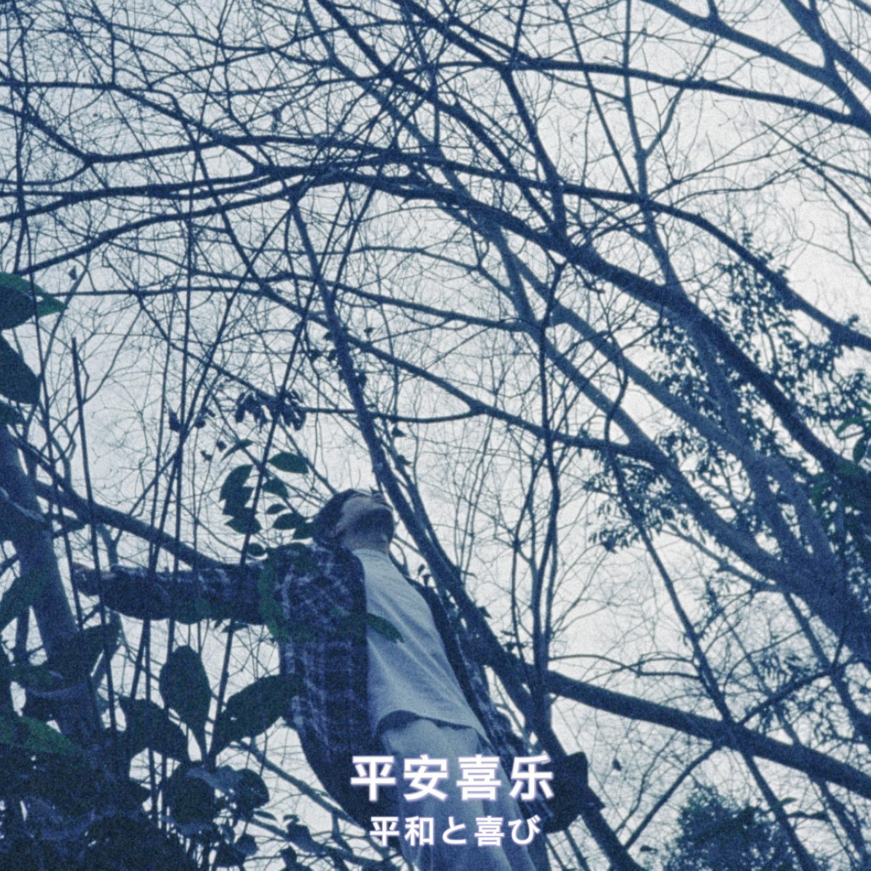 刘小怂生贺曲 - 一次短暂而漫长的相遇
