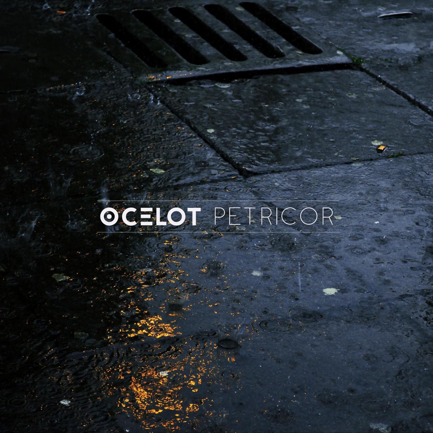 Petricor