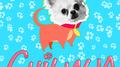 Chiwawa专辑