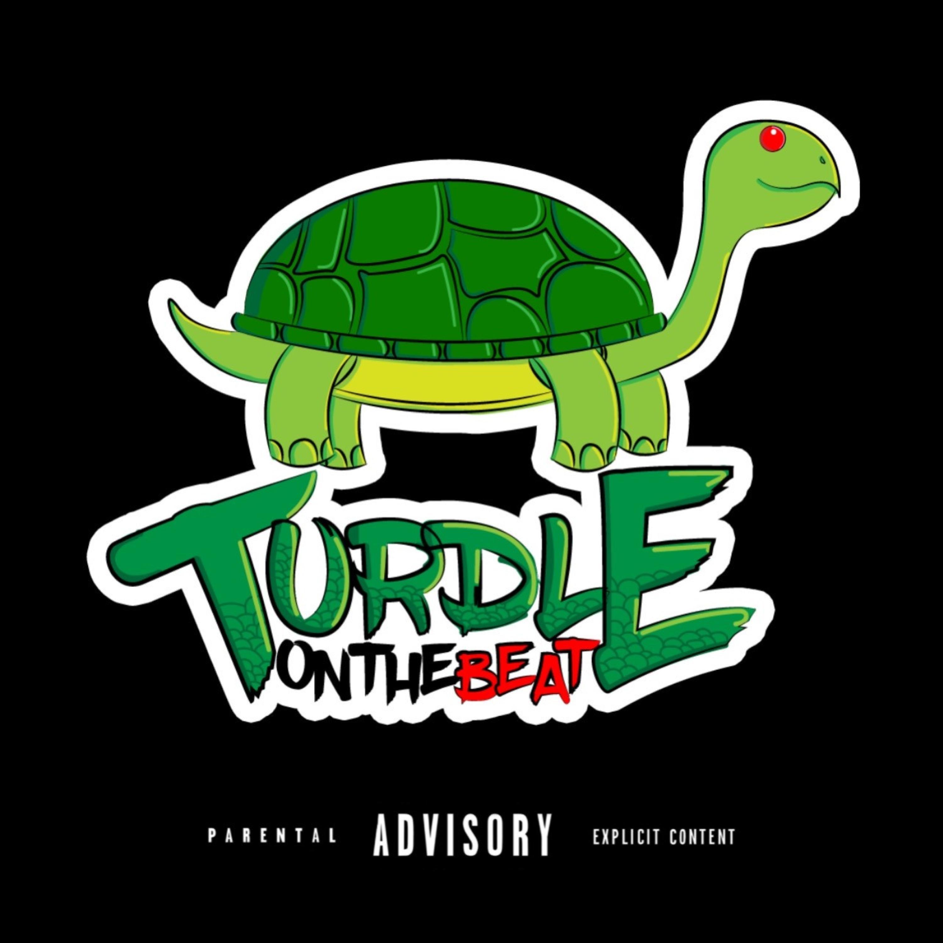 TURDLE - Raphael