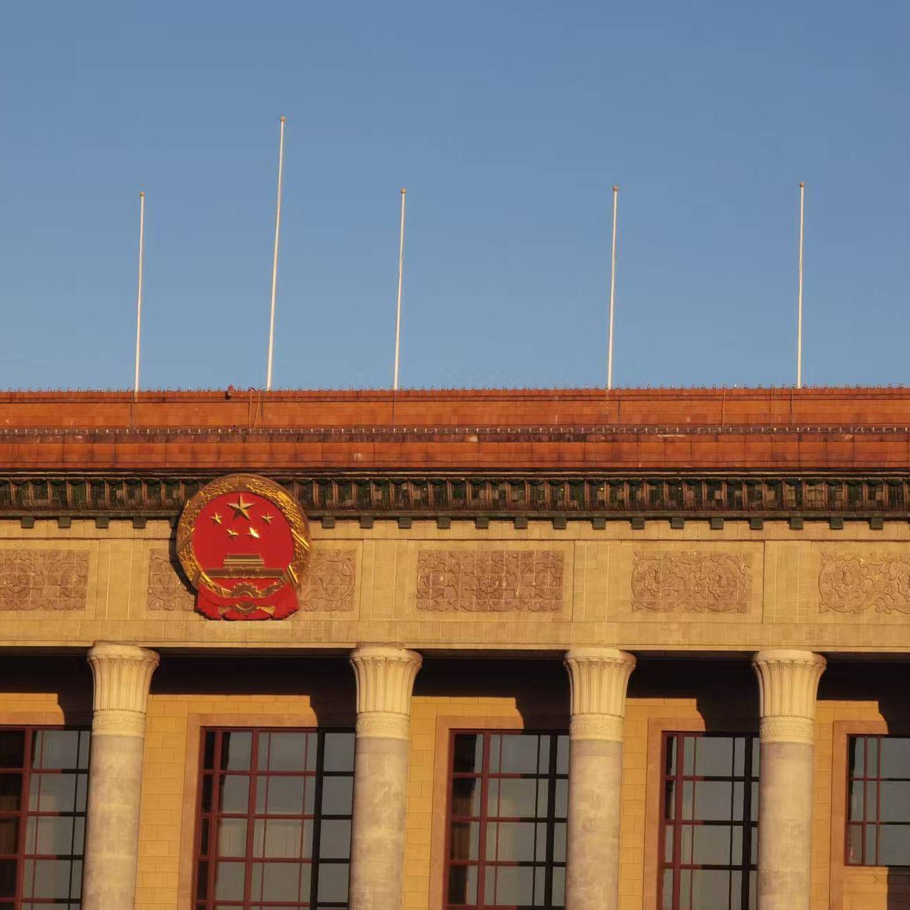 我不懂（DiAi_ remix 九维-权衡中）