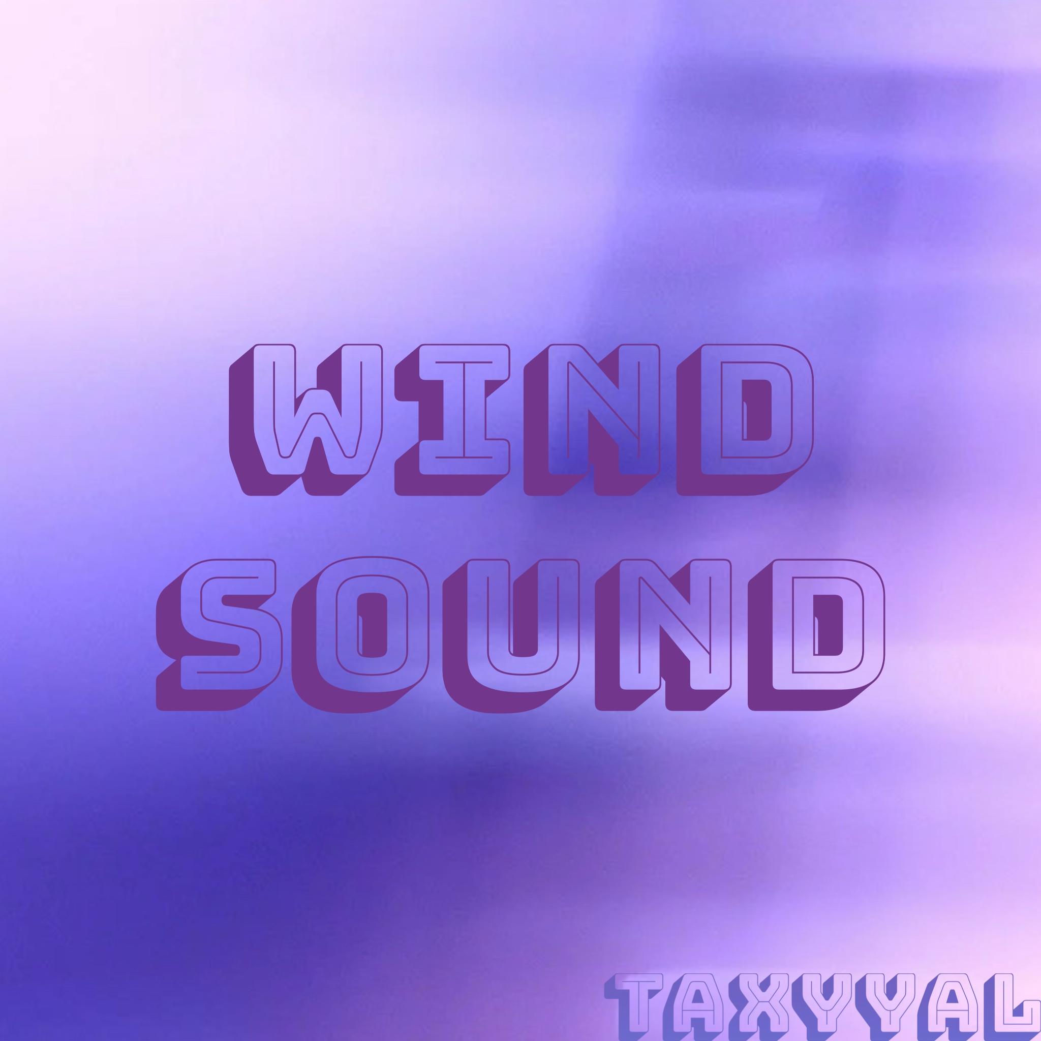 Wind Sound