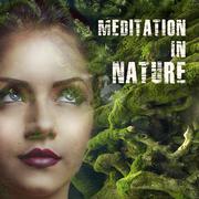 Meditation In Nature – Calming Nature Sounds, Music for Relaxation, Yoga Practice, Zen Power, Deep M