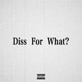 Diss For What？