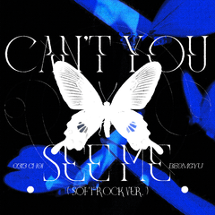 Can't You See Me（Soft Rock ver.）