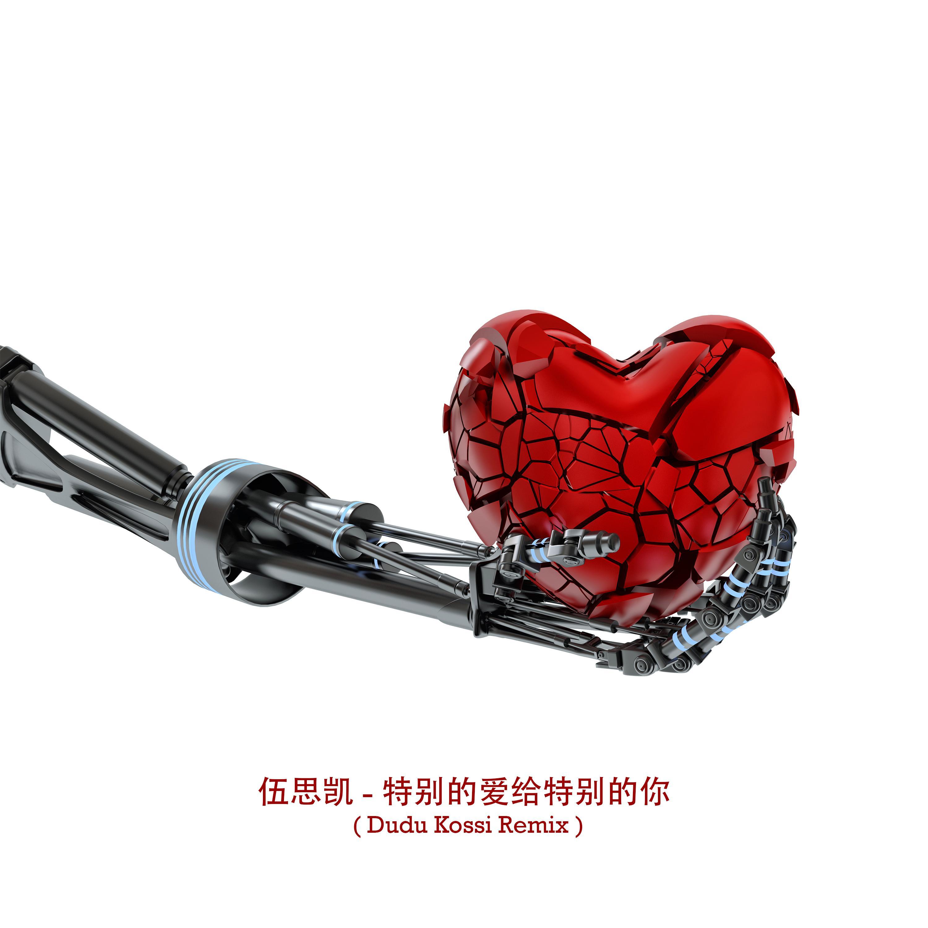 李雨婷-伍思凯-特别的爱给特别的你（Dudu Kossi Remix）（Dudu Kossi remix）