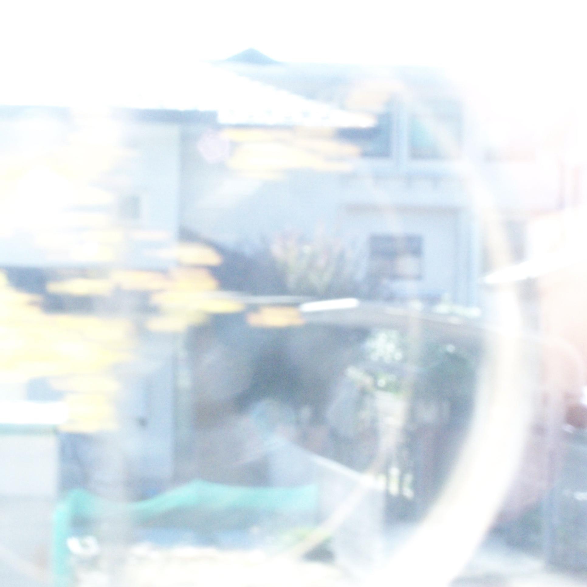 whatitsbecome131gV2(song)d1