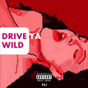 DRIVE YA WILD