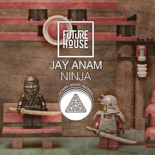 Ninja (Original Mix)