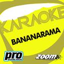 Zoom Karaoke - Bananarama专辑