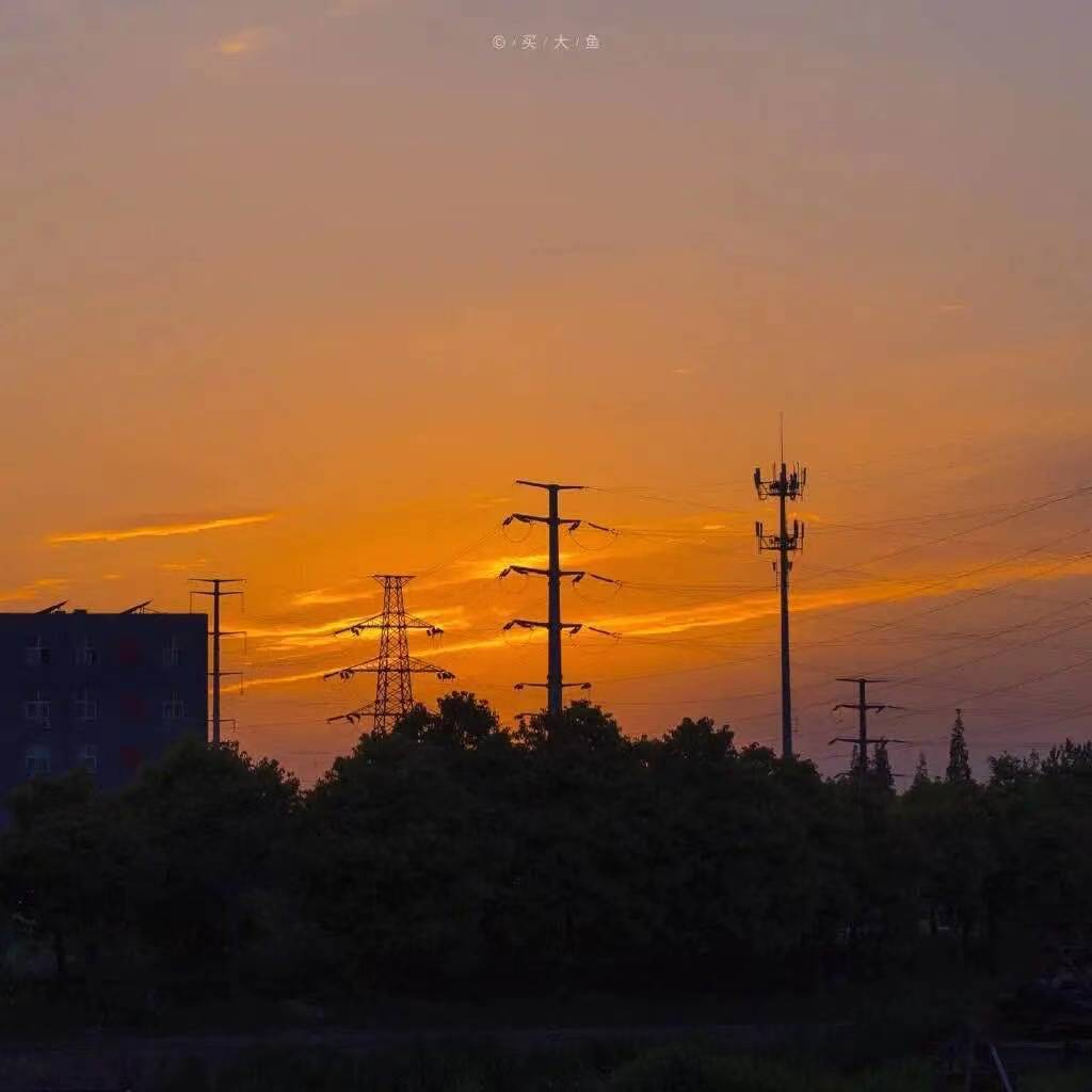岁月