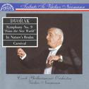 Dvořák: Symphony No. 9 "From the New World", In Nature´s Realm, Carnival / CPO / Neumann