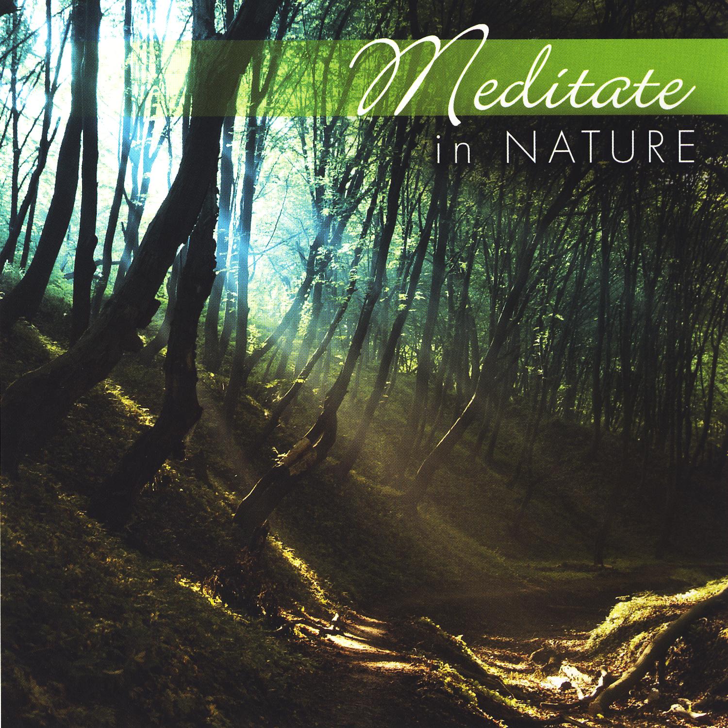 Meditate In Nature
