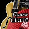 Flamenco Gitarre