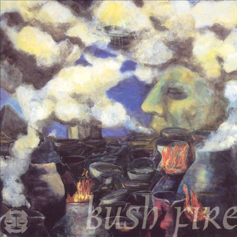 Bush Fire