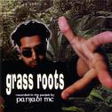 Grass Roots专辑