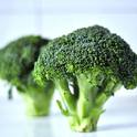 broccoli专辑