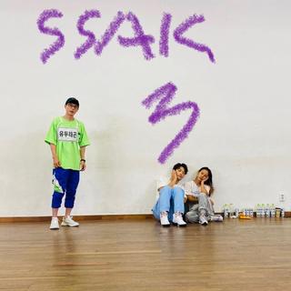 闲着干嘛呢 —夏日混声组合SSAK3