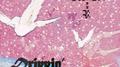 Drippin'专辑