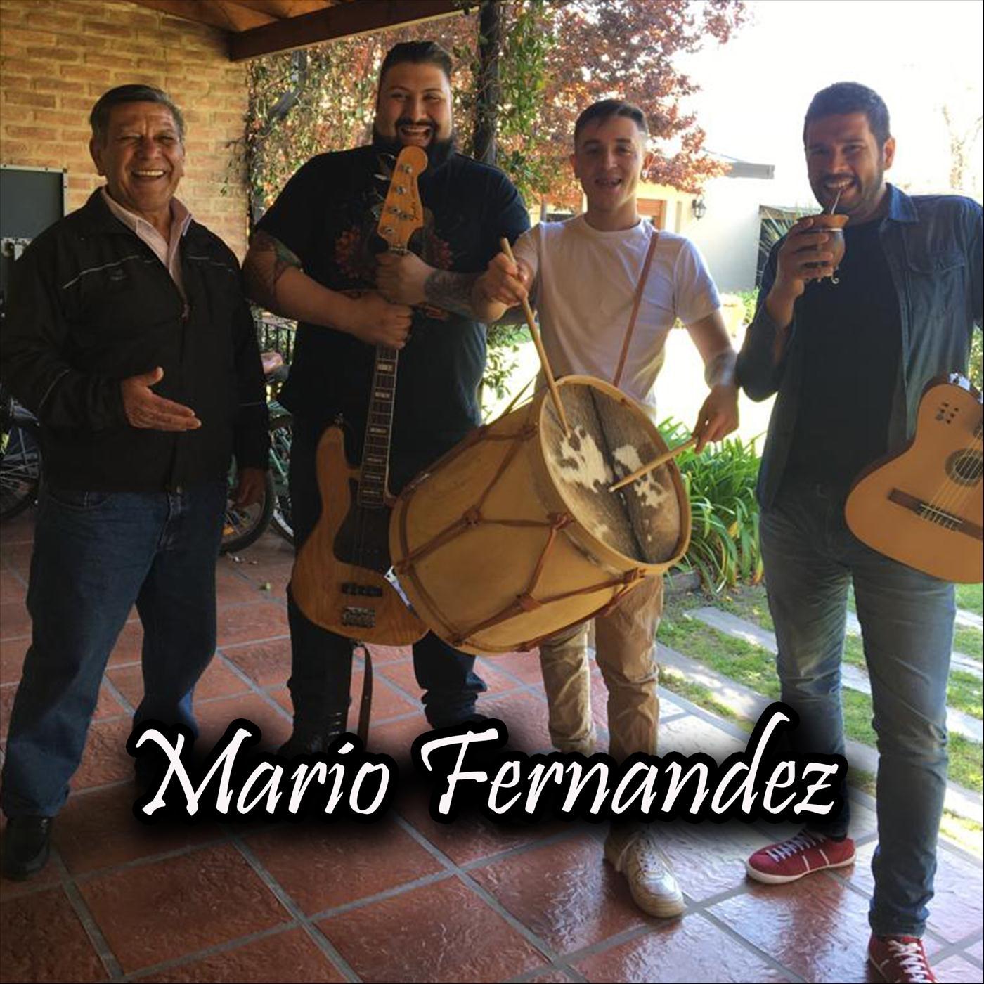 Mario Fernández