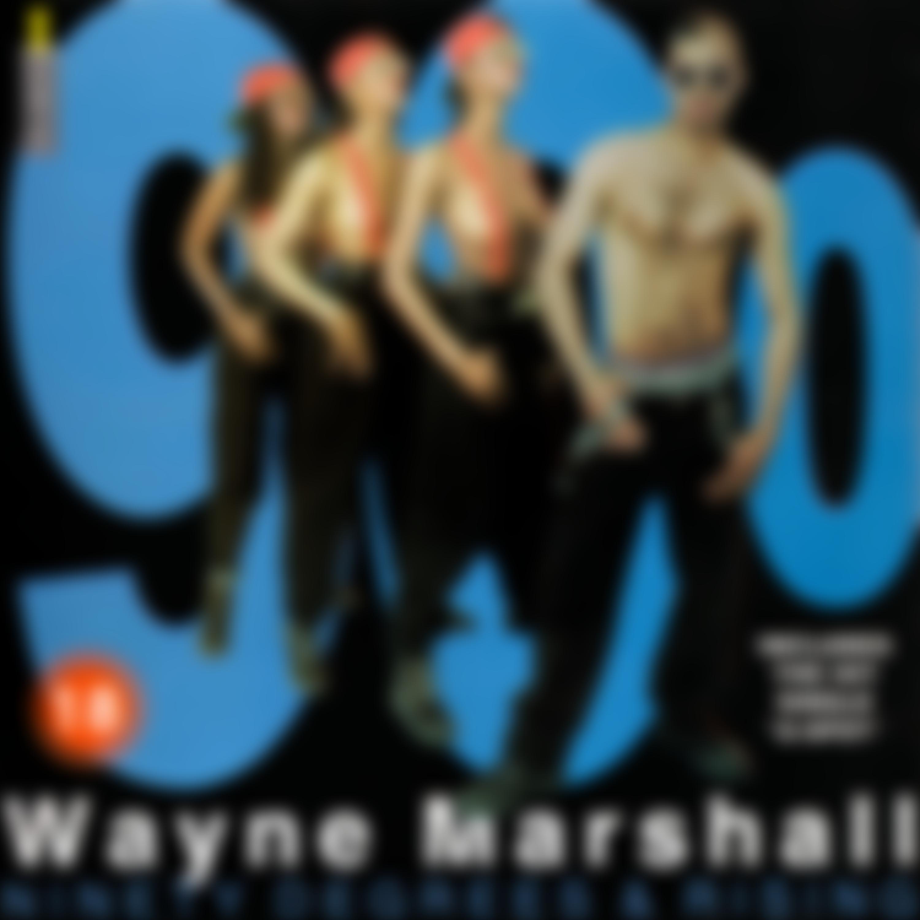 Wayne Marshall - Kinky Sex (Spank You)