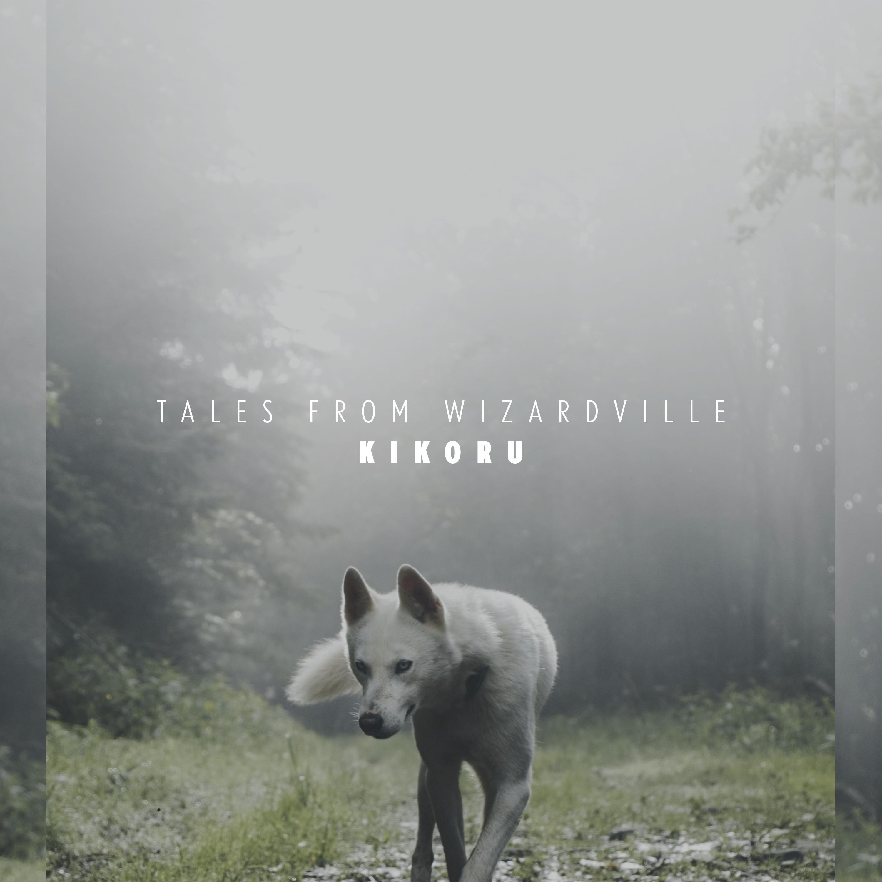 Tales From Wizardville