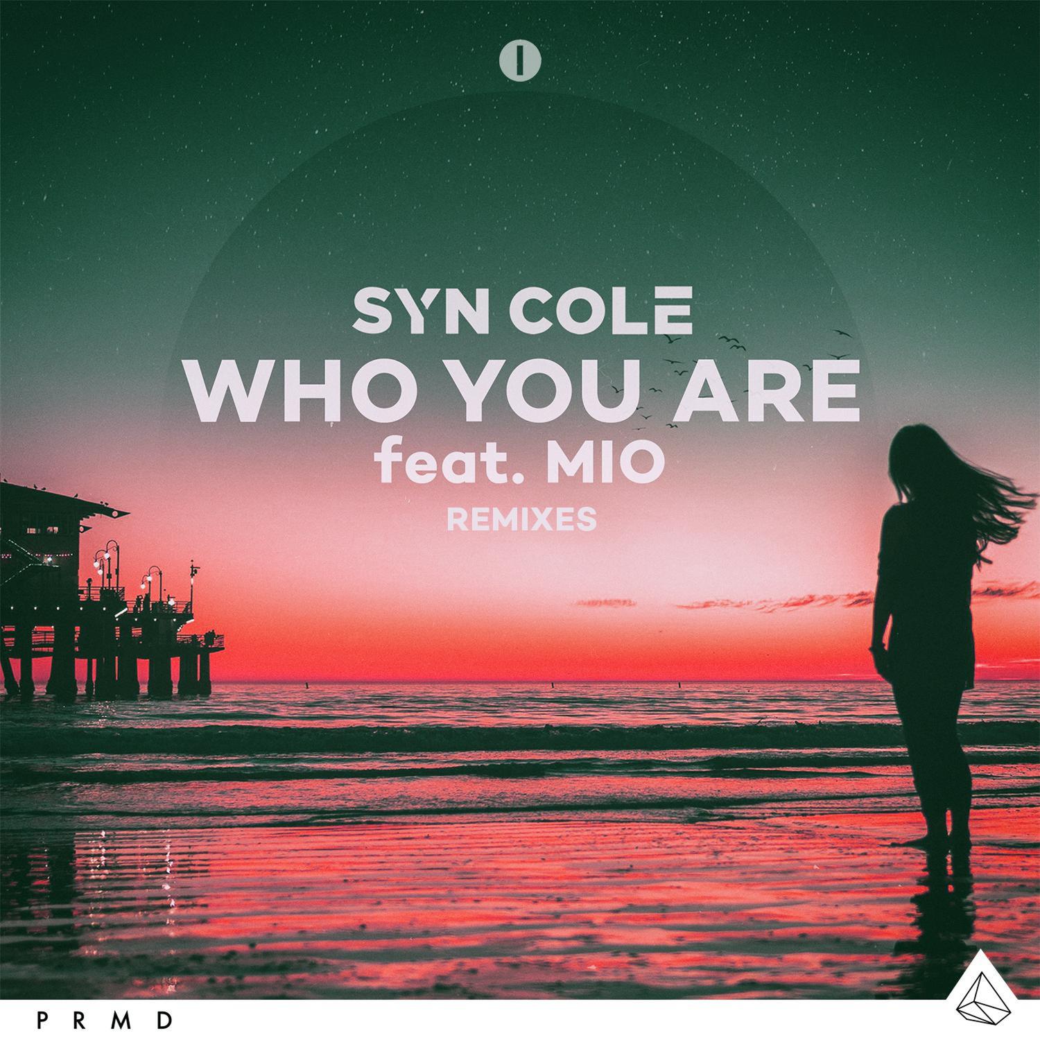 Syn Cole - Who You Are (Joe Maz Remix)