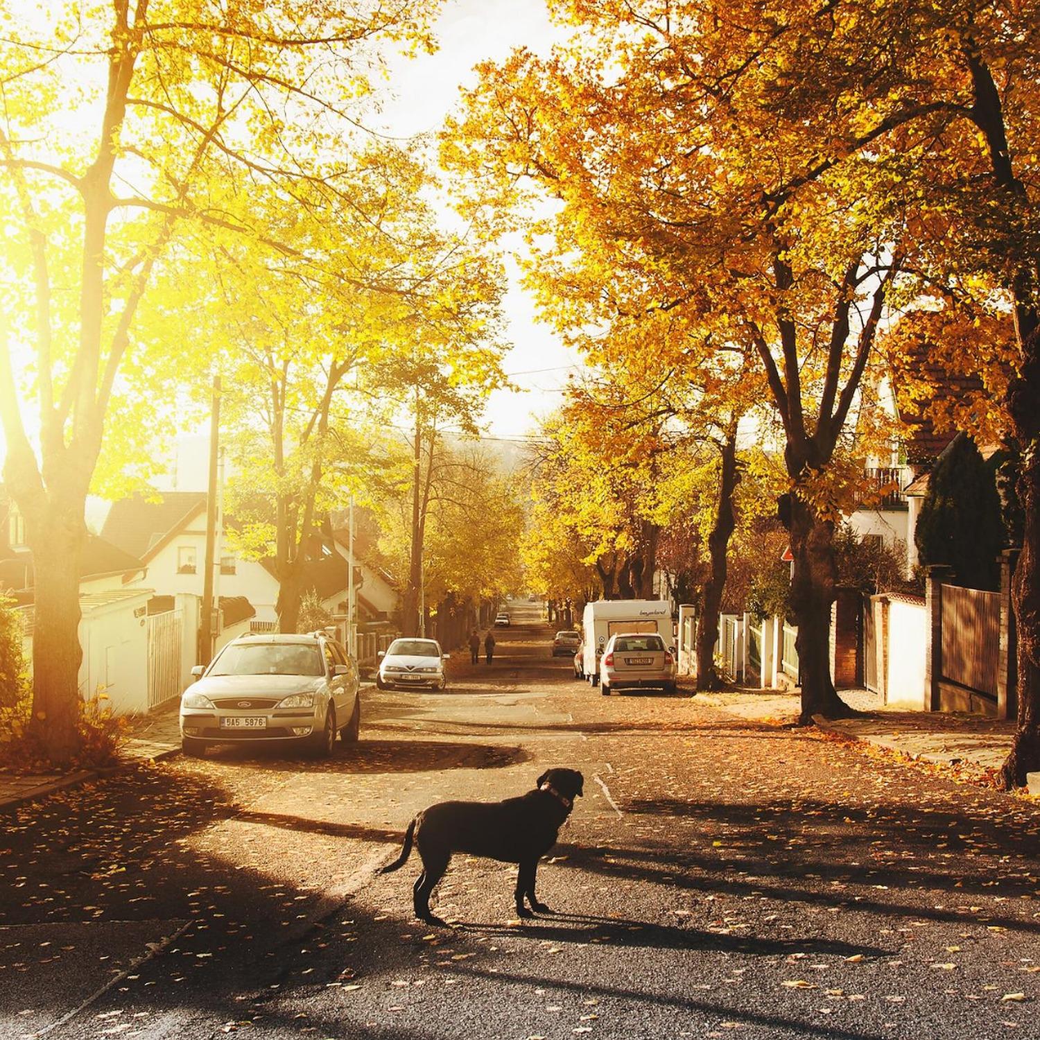 Death of Suburbia