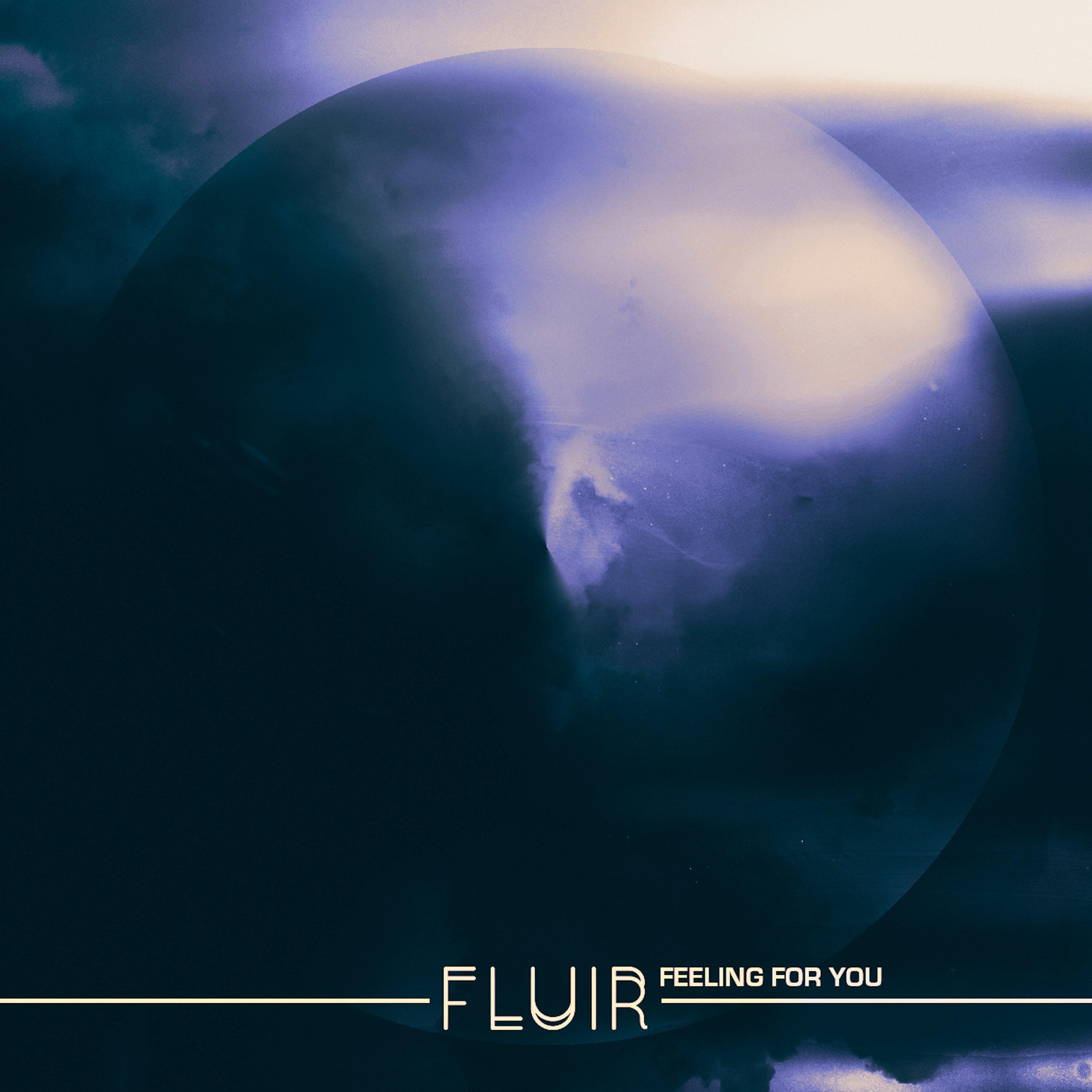 FLUIR - Feeling For You (Camiel Daamen Remix)